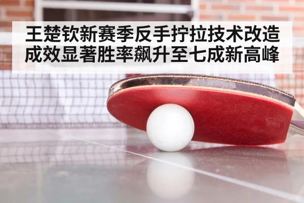 王楚钦新赛季反手拧拉技术改造成效显著胜率飙升至七成新高峰